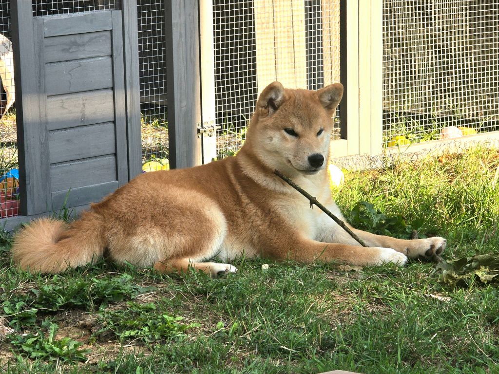 Les résultats des tests sont là... 